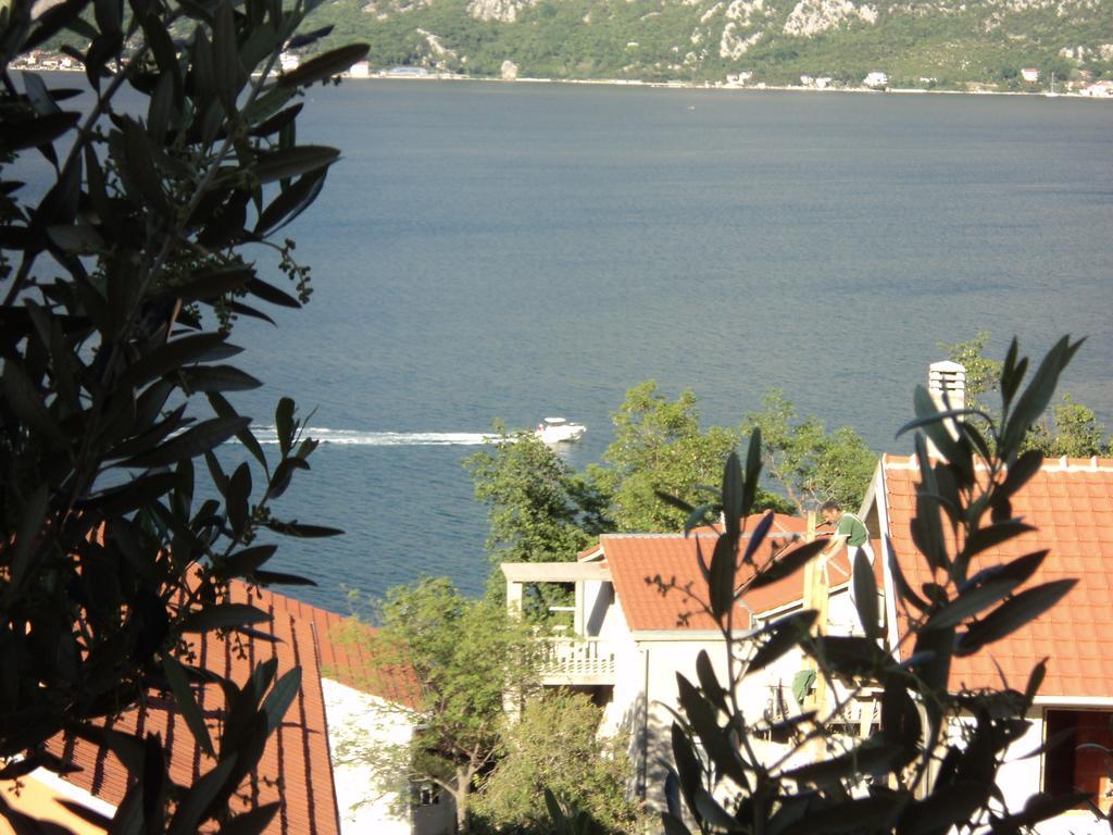 Guest House Pajovic Kotor Exterior photo